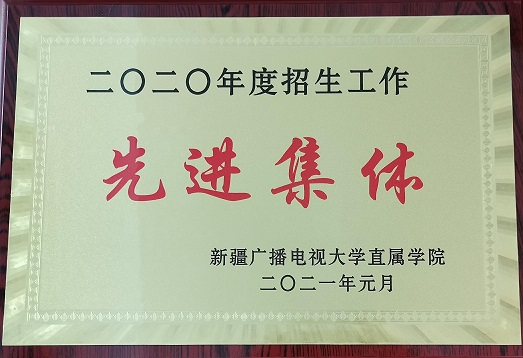 2020年度招生工作先进集体